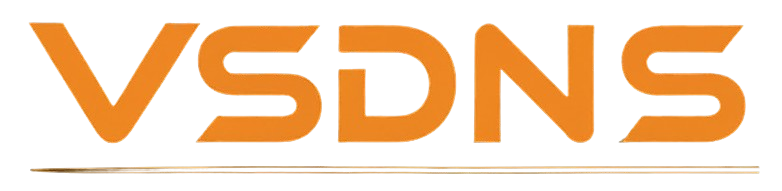 VSDNS Logo